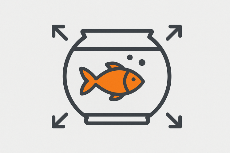 Fishbowl Window در مدیریت پروژه | شفافیت به مثابه کلید موفقیت
